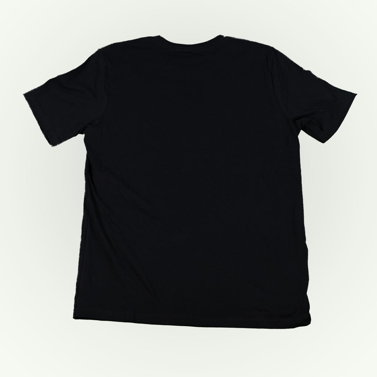 The back of a plain black short-sleeve crewneck t-shirt shown from the back, laid flat against a light off-white background.