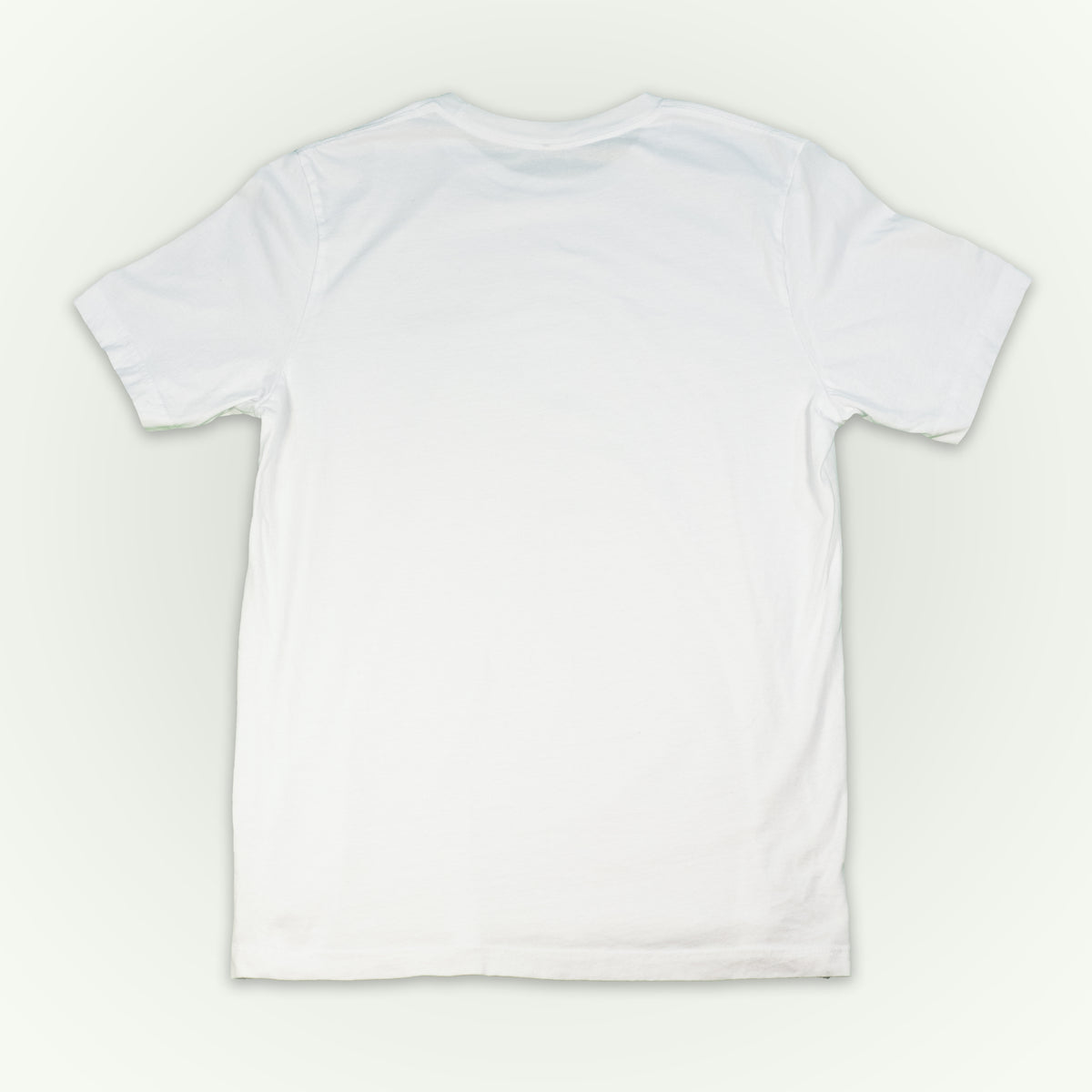 The back of a white short-sleeve crewneck t-shirt laid flat against a light off-white background. 